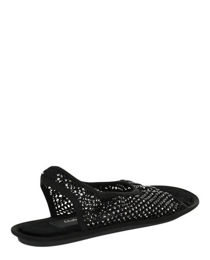 Black-