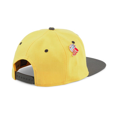 Puma Men's Hometown Heroes Basketball Fb Cap