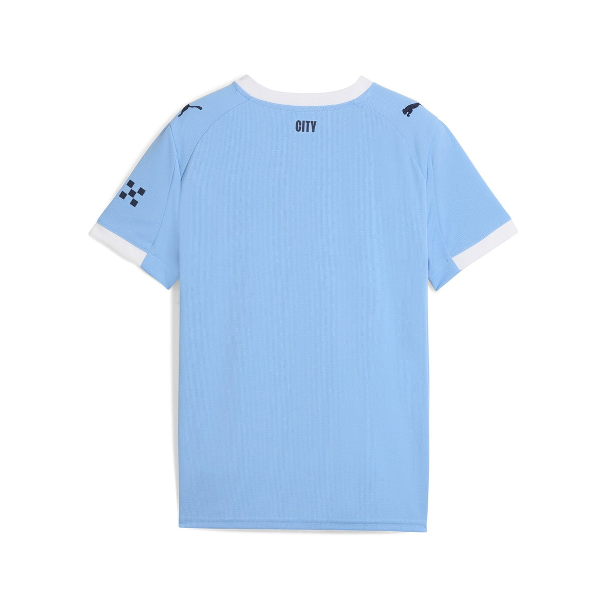 Puma Youth Manchester City Home Crew Neck Short Sleeve Replica Jersey - Light Blue
