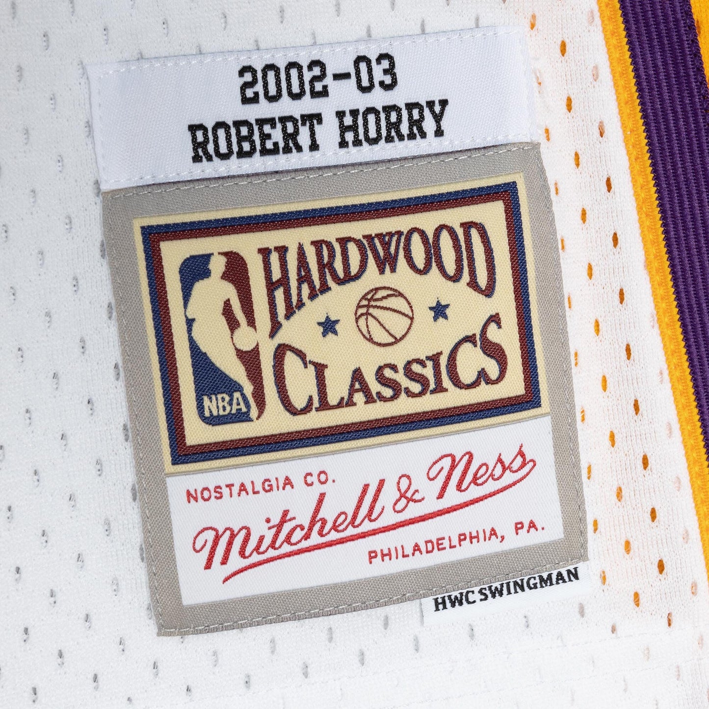 Mitchell & Ness Men's NBA Alternate Jersey Lakers 2002 Robert Horry Jerseys