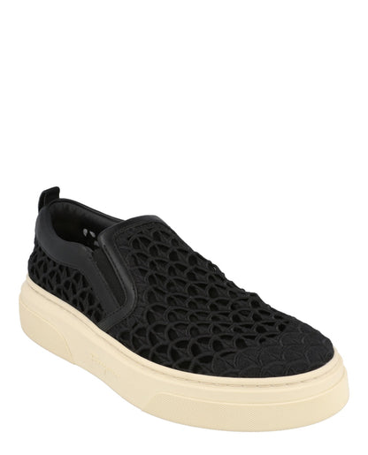 Black-