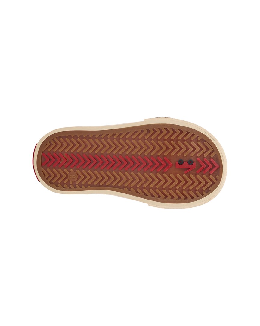 SANDSHELL-