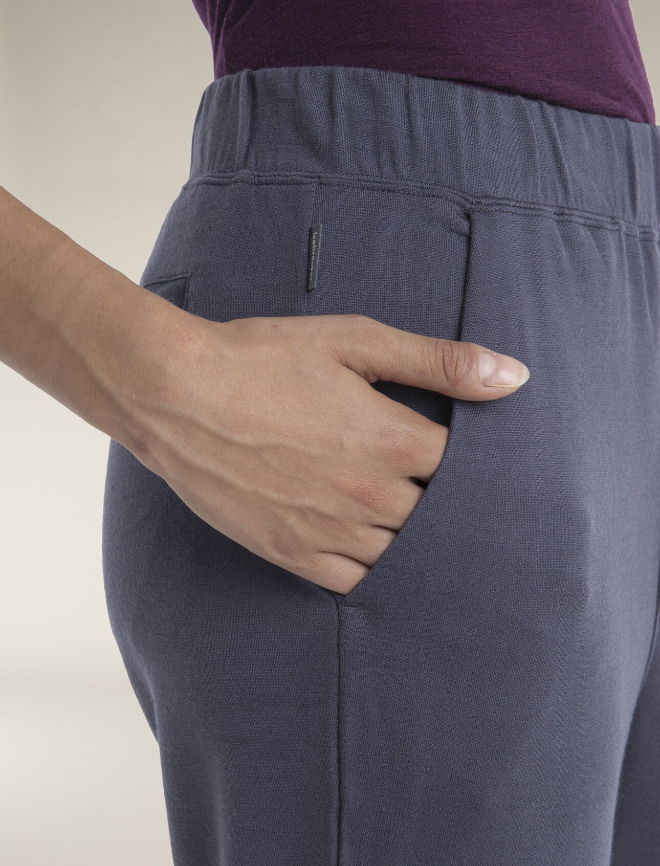 Icebreaker Women's Merino Blend Ii 200 Crush Ankle Pants