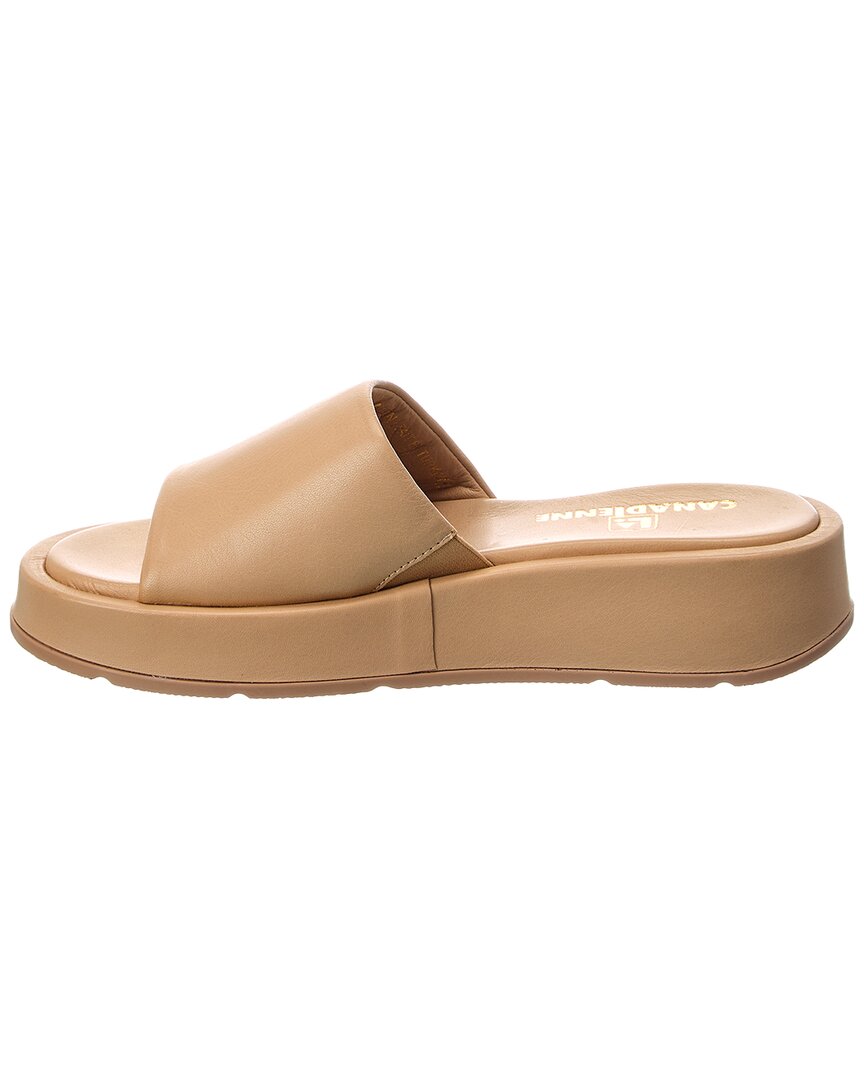 Camel Leather-