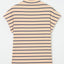 Khaki Stripe