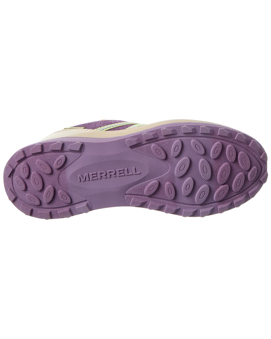 PURPLE-