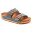 Desert Soil Vibrant Grey