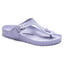 Purple Fog