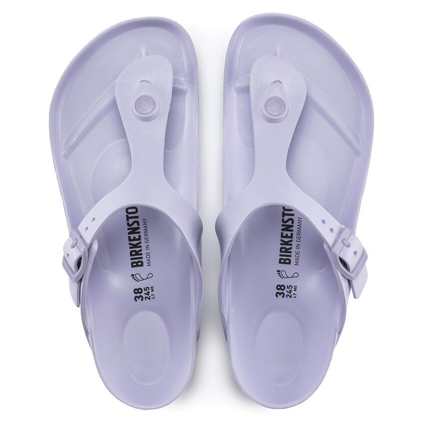 Purple Fog-