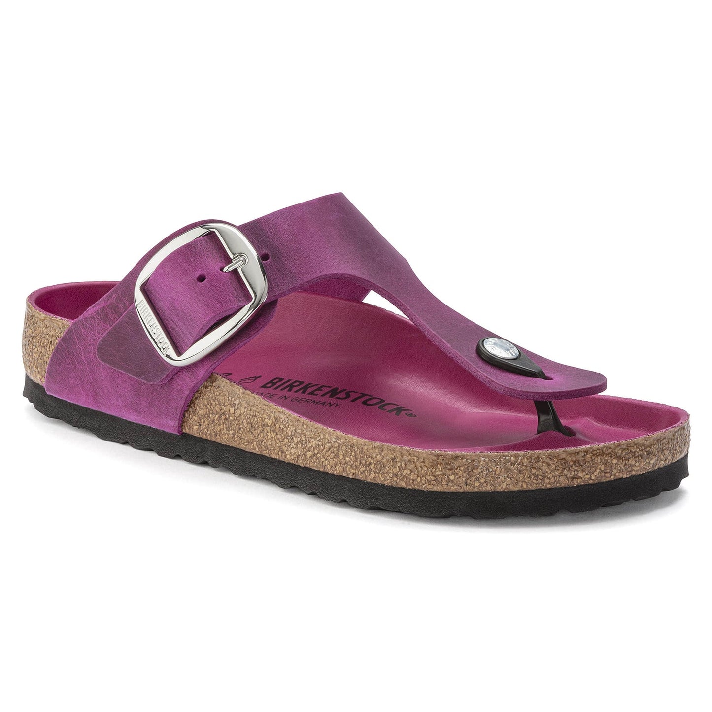 Fuchsia-