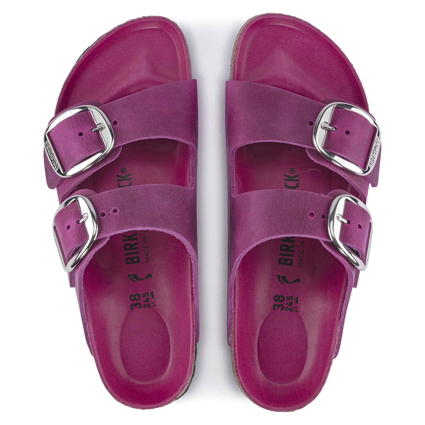 Festival Fuchsia-