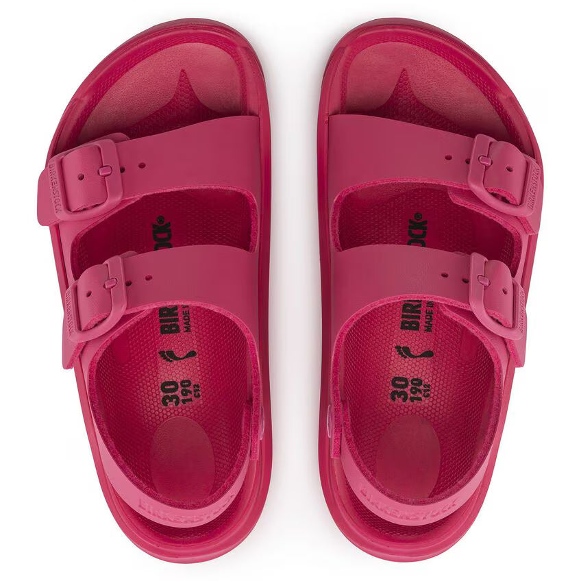 Fuchsia Tulip-