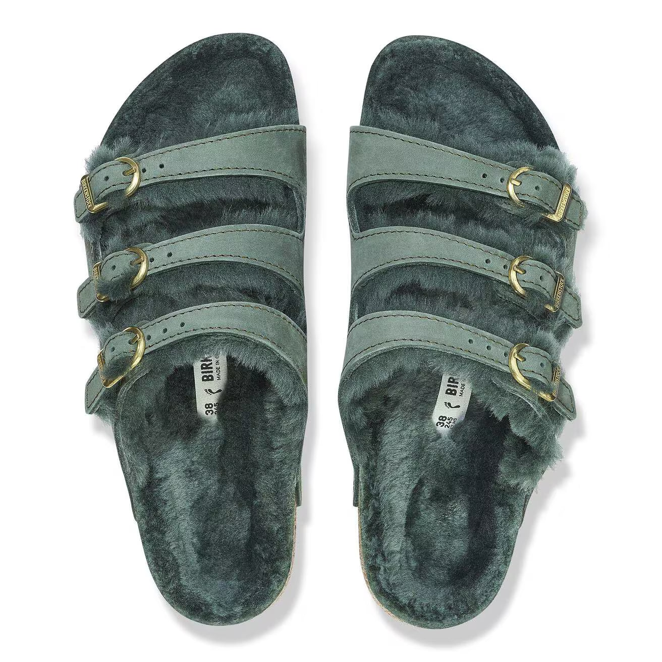 Thyme-