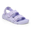 Purple Fog
