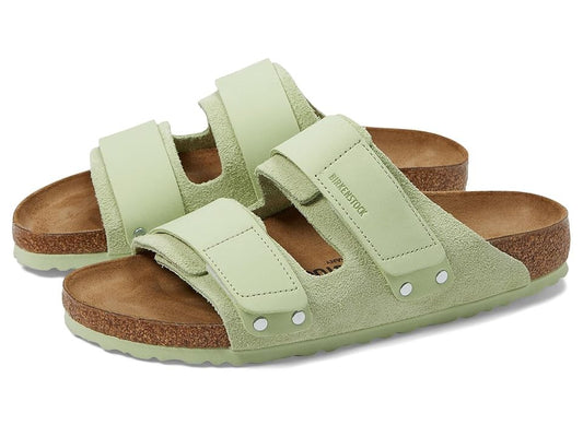 Faded Lime-