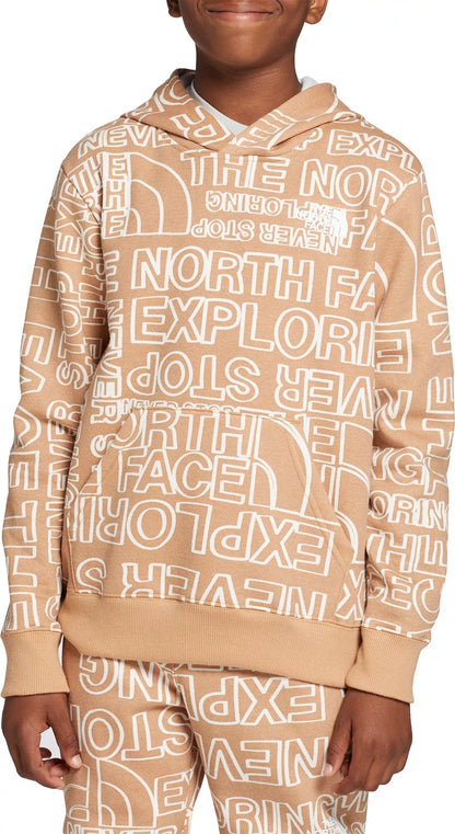 The North Face Youth Camp Fleece Pullover Hoodie Hoodies