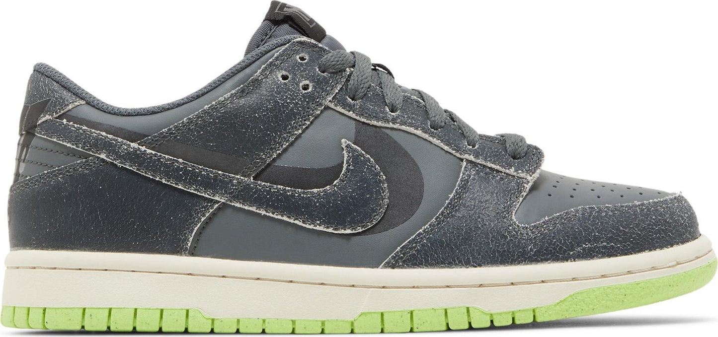 Nike Youth Dunk Low Se 'Acid Wash Baltic Blue Volt' Gs Sneakers