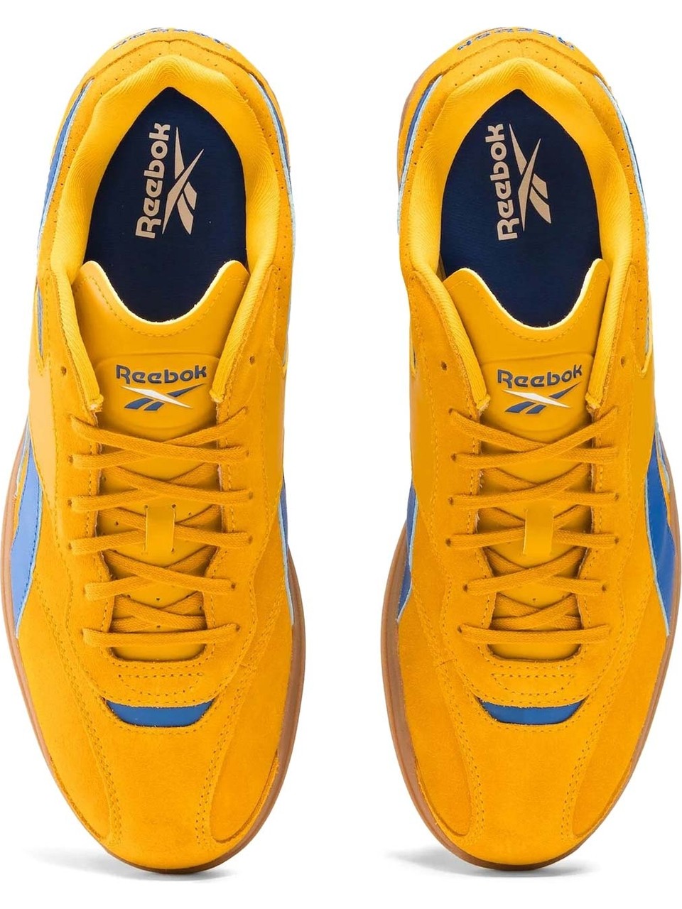 Fiercegold/Vecotrblue/Gum-