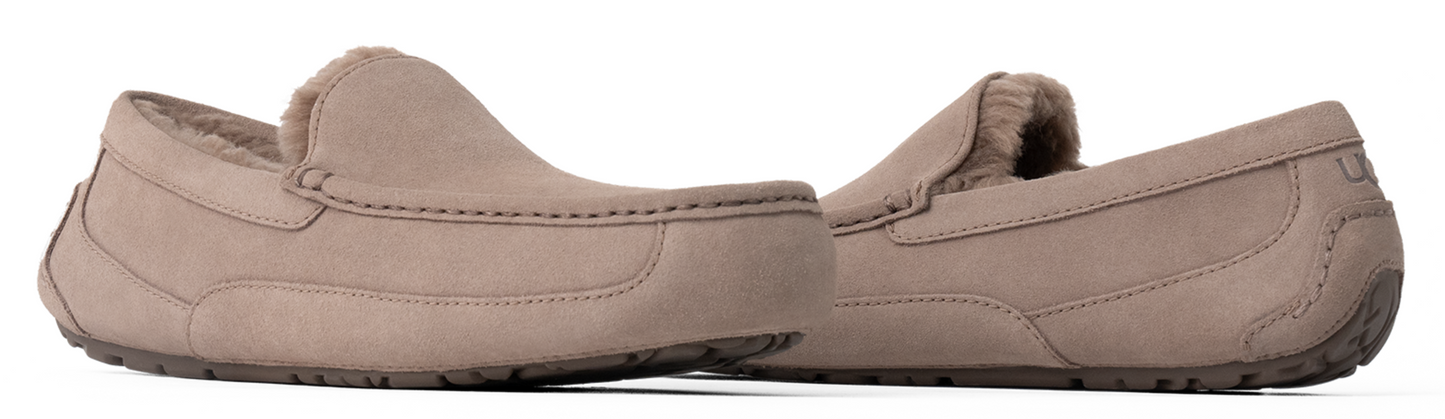 Men's UGG Ascot