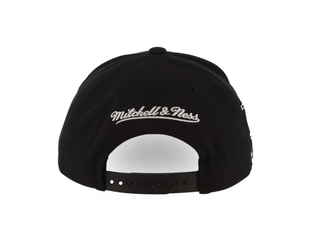 Mitchell & Ness Men's NHL Panda Pro Snapback Vintage Ducks Snapback Caps