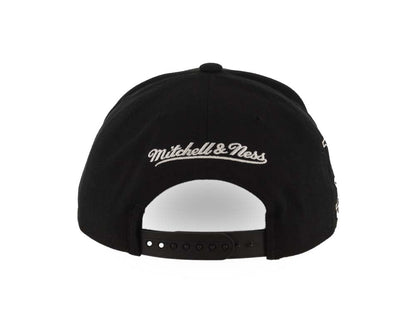 Mitchell & Ness Men's NHL Panda Pro Snapback Vintage Ducks Snapback Caps