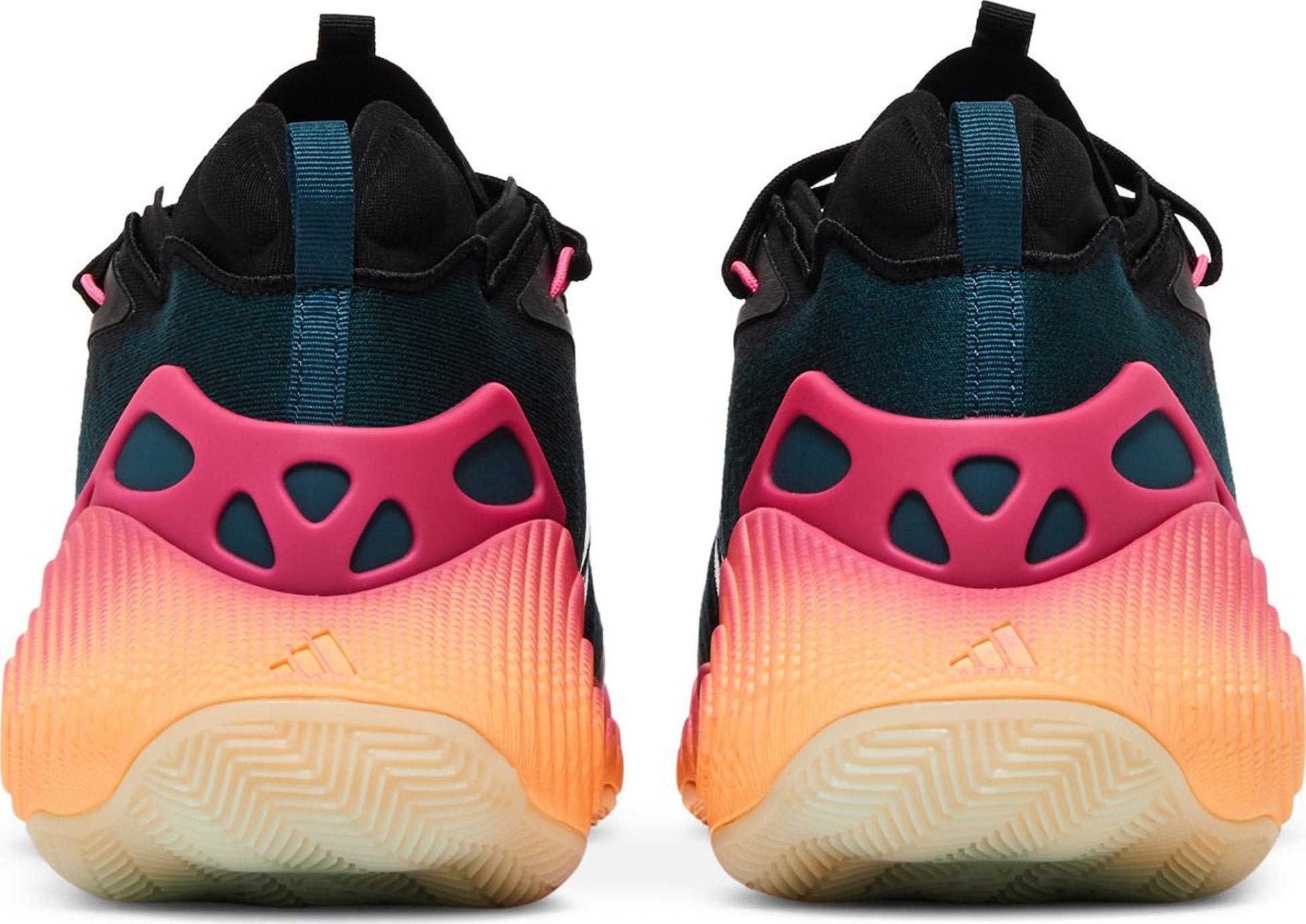 Arcngt,Cblack,Aciora-