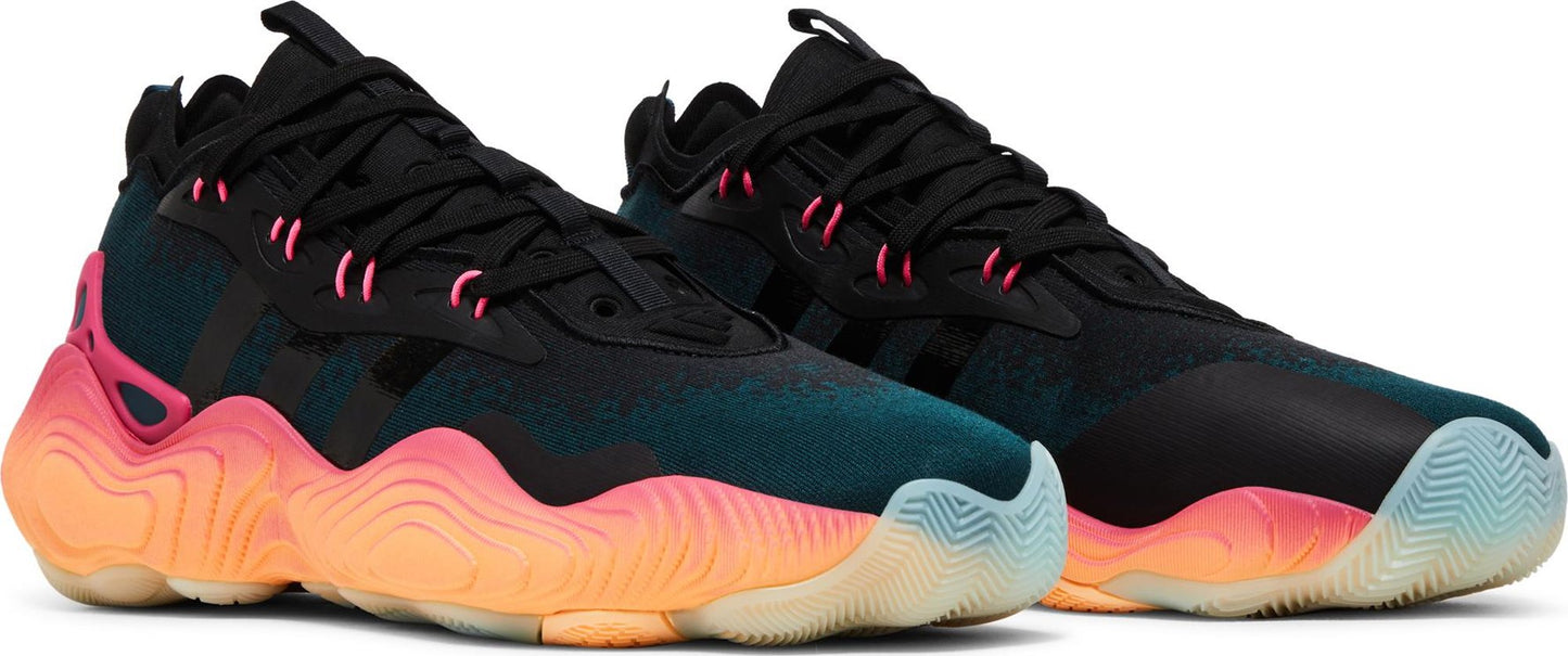 Arcngt,Cblack,Aciora-