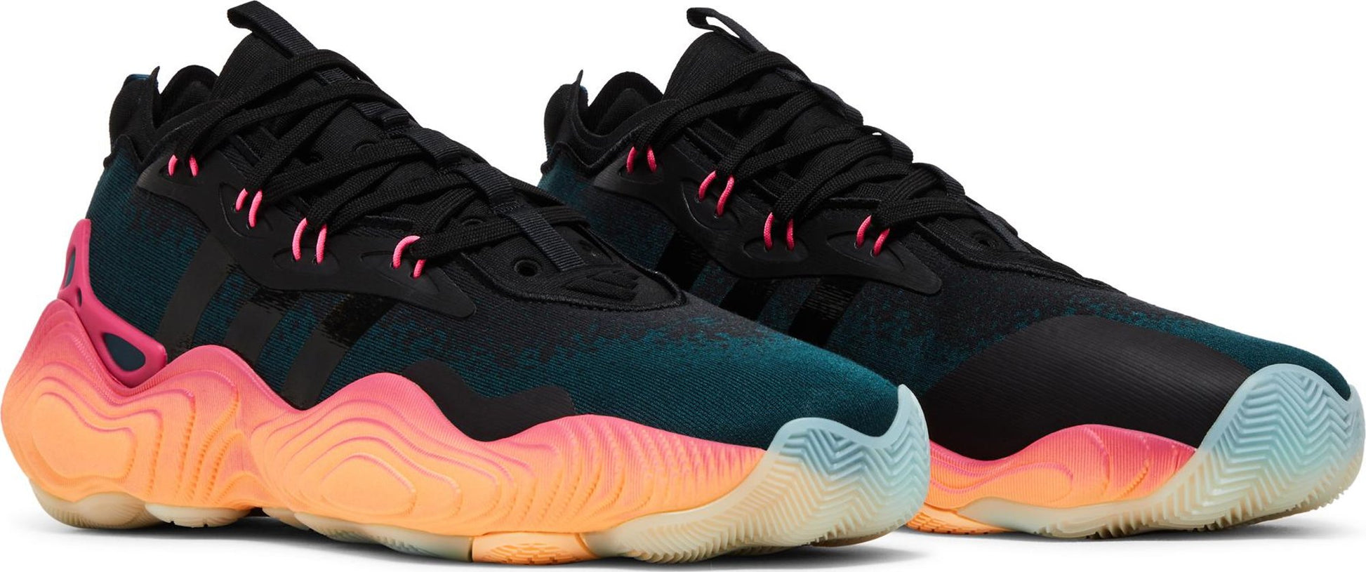 Arcngt,Cblack,Aciora-