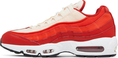 Nike Men's Air Max 95 Sneakers