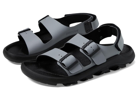 Whale Gray-
