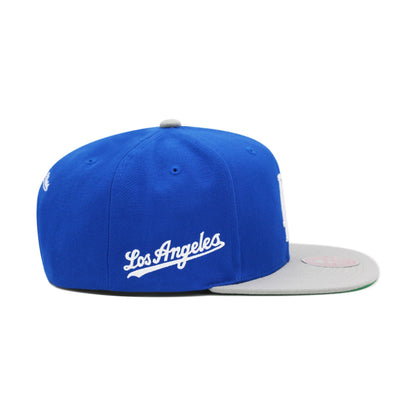 Mitchell & Ness Men's MLB Evergreen Snapback Coop Dodgers