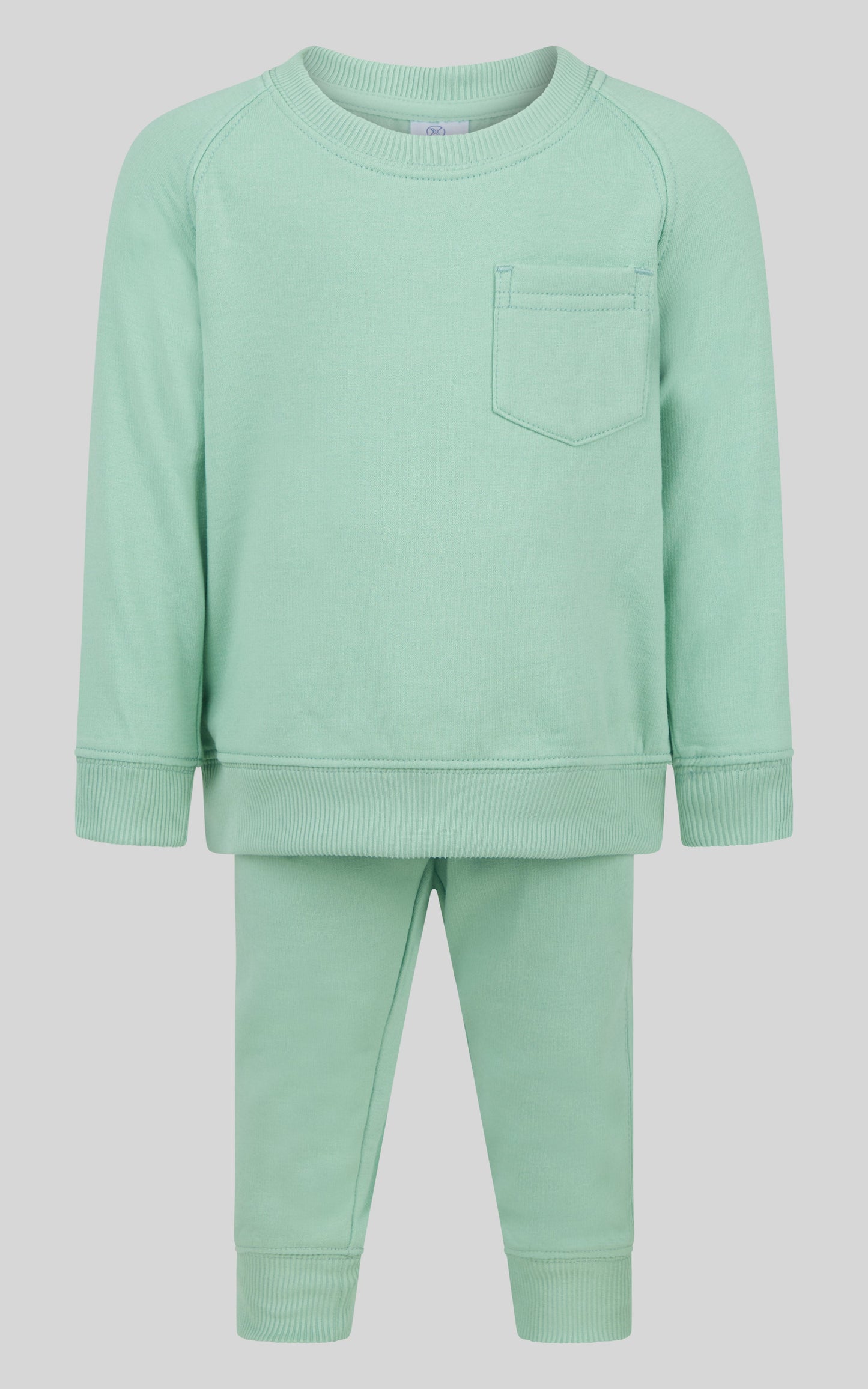 Infant Boys 2 PC Terry Sweatshirt and Jogger Set