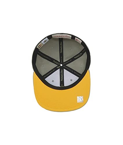 Men's Mitchell & Ness NBA Sunny Gray Fitted Hwc Warriors