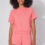 Sun Kissed Coral