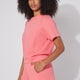 Sun Kissed Coral