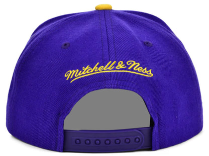 Mitchell & Ness Men's NBA Charlotte Hornets Core Snapback Snapback Caps