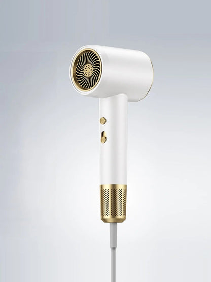 Temperature Control High-Speed Hair Dryer