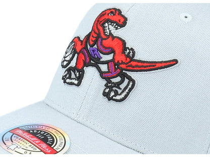 Mitchell & Ness Men's NBA Spot Lights Stretch Snapback Hwc Raptors Snapback Caps