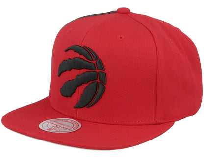 Mitchell & Ness Men's NBA Tapestry Snapback Raptors Snapback Caps