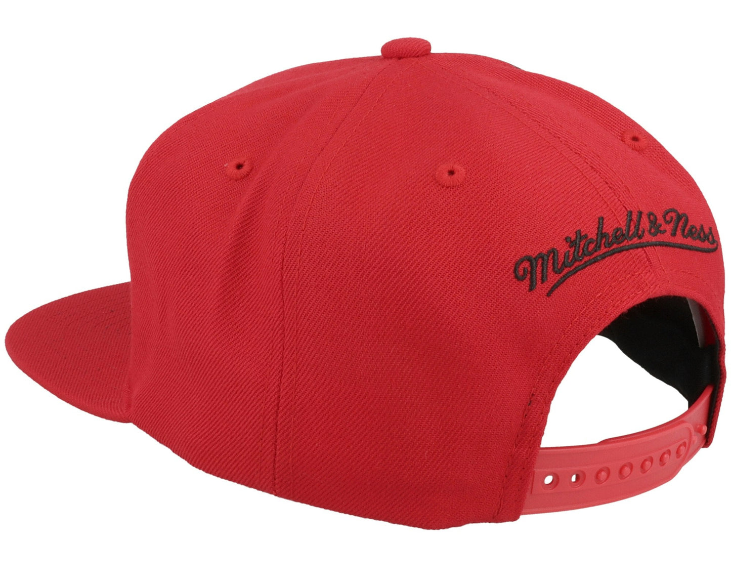 Mitchell & Ness Men's NBA Tapestry Snapback Raptors Snapback Caps
