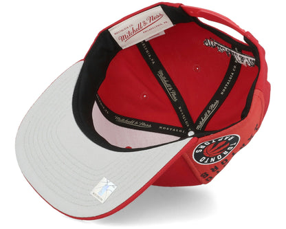 Mitchell & Ness Men's NBA Tapestry Snapback Raptors Snapback Caps