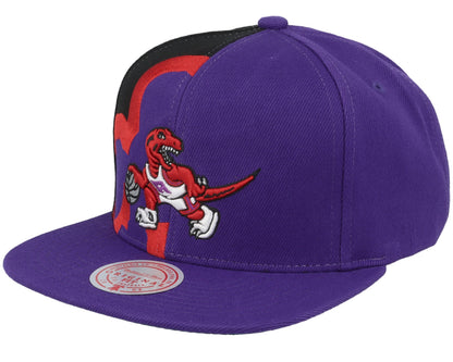 Mitchell & Ness Men's NBA Retroline Snapback Hwc Raptors Snapback Caps