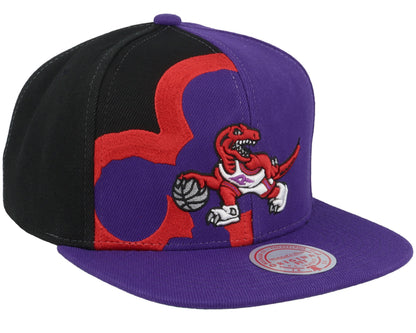 Mitchell & Ness Men's NBA Retroline Snapback Hwc Raptors Snapback Caps