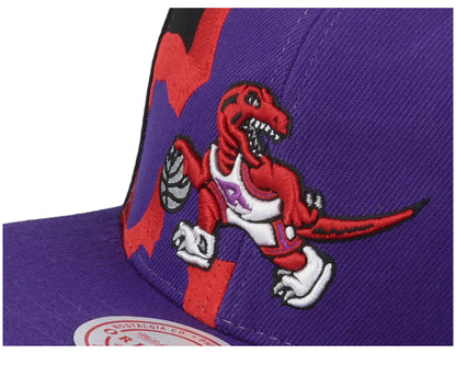 Mitchell & Ness Men's NBA Retroline Snapback Hwc Raptors Snapback Caps