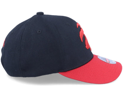 Mitchell & Ness Men's NBA Team 2 Tone 2.0 Stretch Snapback NBA Raptors Snapback Caps