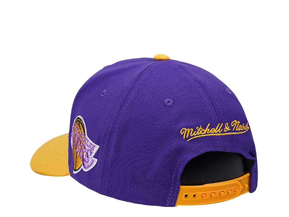 Men's Mitchell & Ness NBA Shredder Stretch Snapback Hwc Lakers - Purple