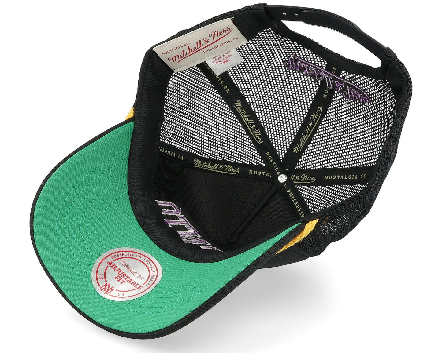 Mitchell & Ness Men's NBA Gold Leaf Trucker Hwc Raptors Ball Caps