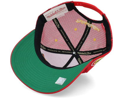 Mitchell & Ness Men's NBA Team Seal Trucker Hwc Rockets Ball Caps