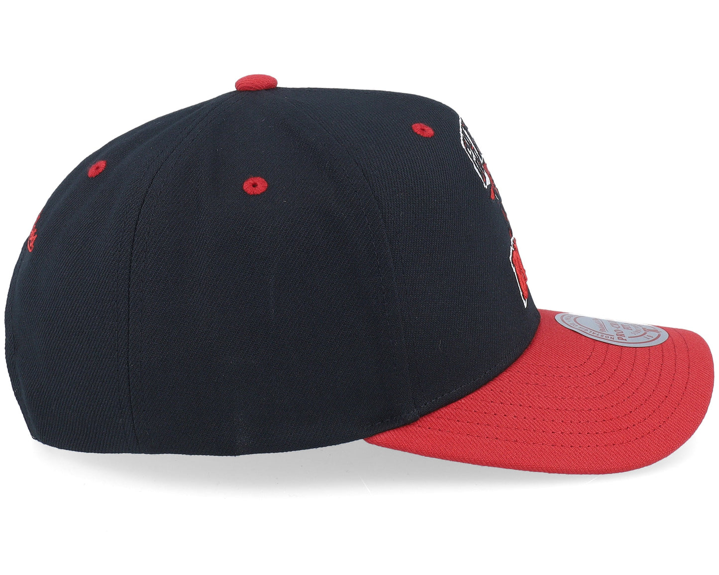 Men's Mitchell & Ness NBA All In 2.0 Pro Snapback Bulls