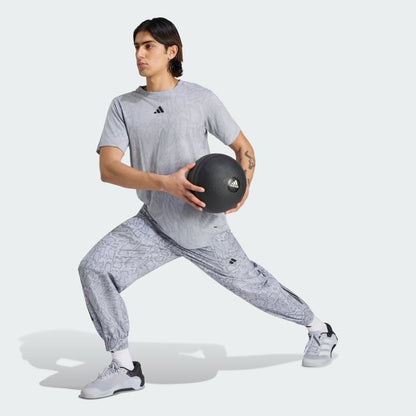 Halo Silver / Grey-